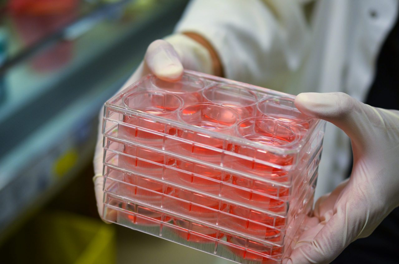 Incubators, their application in cell and microbiological cultures