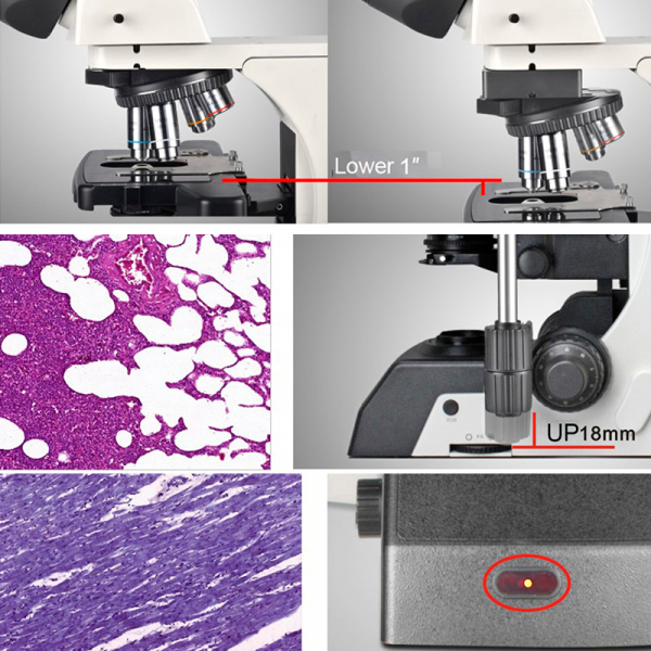 Manual Halogen Laboratory Microscope YR0266A // YR0266C - Image 8