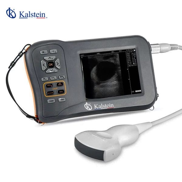 Handheld Veterinary Ultrasound YR06143