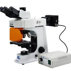Binocular LED Fluorescent Microscope YR06653