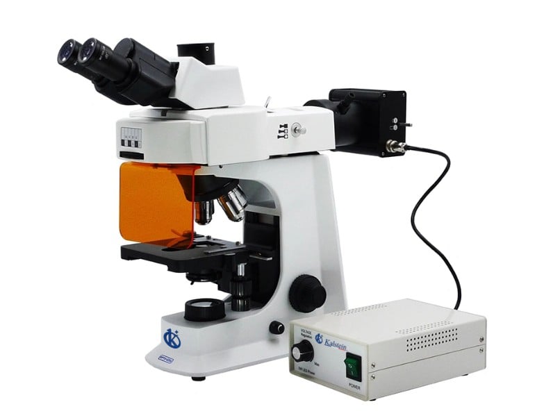 Binocular LED Fluorescent Microscope YR06653