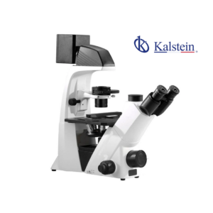 Inverted Biological Phase Contrast Microscope YR06682