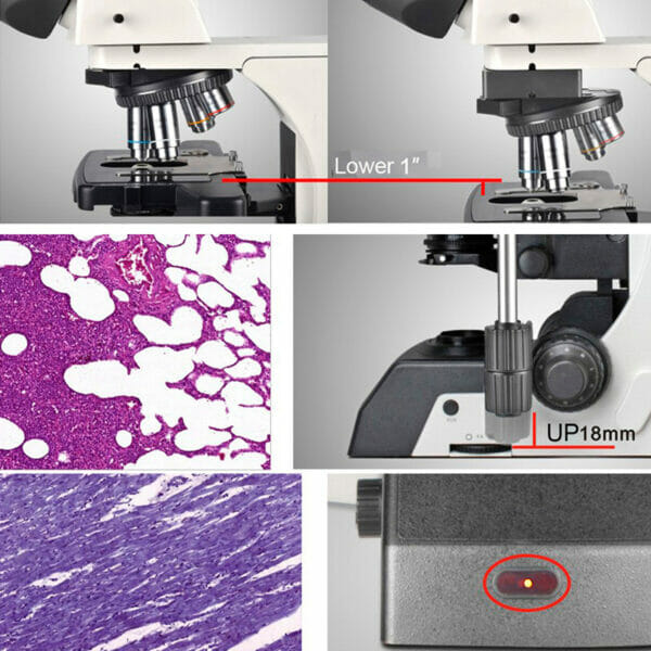 Microscope de laboratoire halogène manuel YR0266A // YR0266C – Image 8