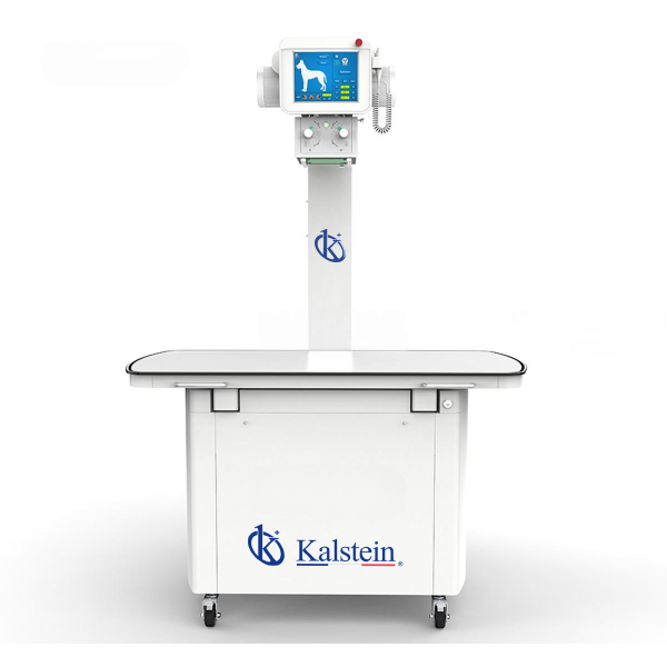 Rayon X Numérique (DR) Vétérinaire Stationnaire de 320mA YR06163